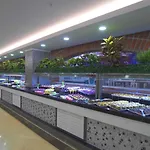 Dream World Palace 5* Colakli